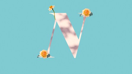 n names